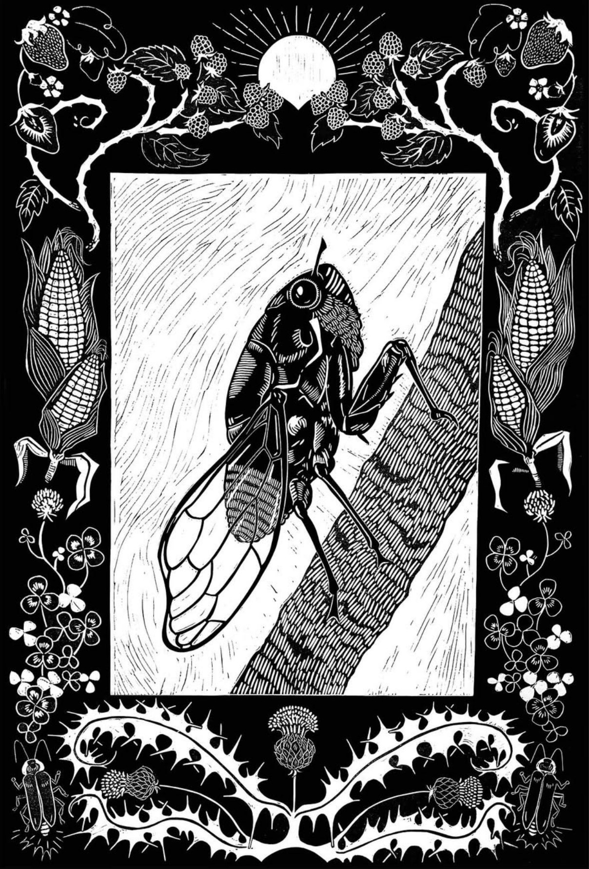 Cicada Relief Carving